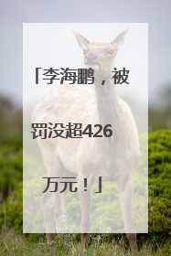 李海鹏，被罚没超426万元！