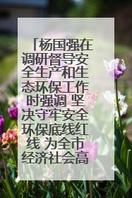 杨国强在调研督导安全生产和生态环保工作时强调 坚决守牢安全环保底线红线 为全市经济社会高质量发展提供坚强保障