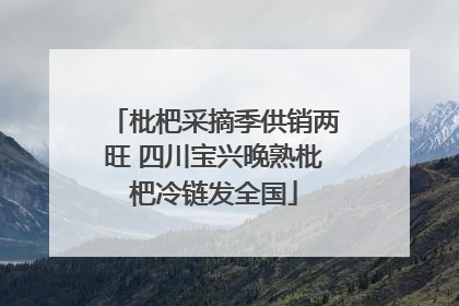 枇杷采摘季供销两旺 四川宝兴晚熟枇杷冷链发全国