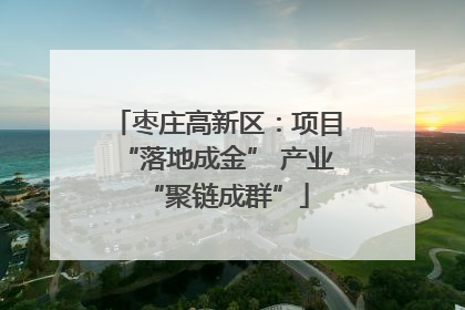 枣庄高新区：项目“落地成金” 产业“聚链成群”