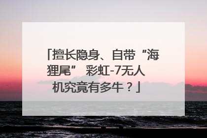 擅长隐身、自带“海狸尾” 彩虹-7无人机究竟有多牛？