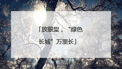 放眼望，“绿色长城”万里长