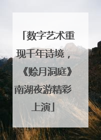 数字艺术重现千年诗境，《赊月洞庭》南湖夜游精彩上演
