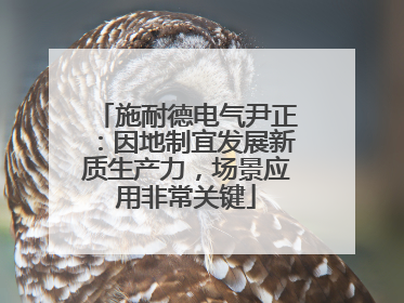 施耐德电气尹正：因地制宜发展新质生产力，场景应用非常关键