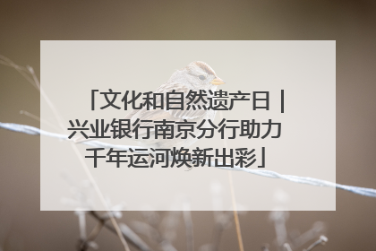 文化和自然遗产日｜兴业银行南京分行助力千年运河焕新出彩