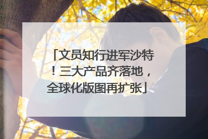 文员知行进军沙特！三大产品齐落地，全球化版图再扩张