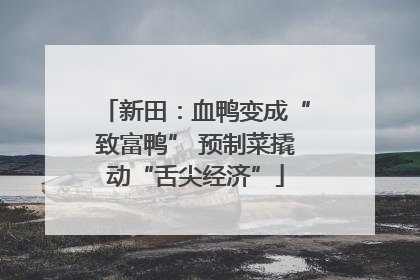 新田：血鸭变成“致富鸭” 预制菜撬动“舌尖经济”