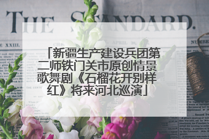 新疆生产建设兵团第二师铁门关市原创情景歌舞剧《石榴花开别样红》将来河北巡演