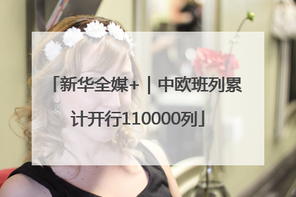 新华全媒+｜中欧班列累计开行110000列