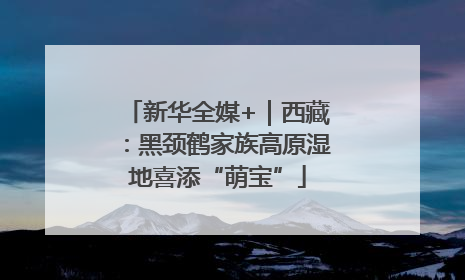 新华全媒+｜西藏：黑颈鹤家族高原湿地喜添“萌宝”