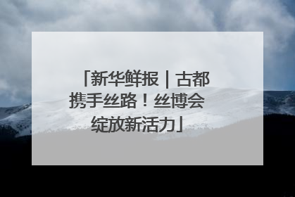 新华鲜报｜古都携手丝路！丝博会绽放新活力
