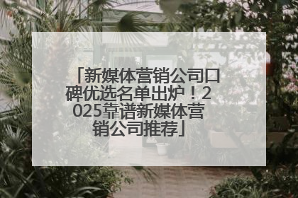 新媒体营销公司口碑优选名单出炉！2025靠谱新媒体营销公司推荐