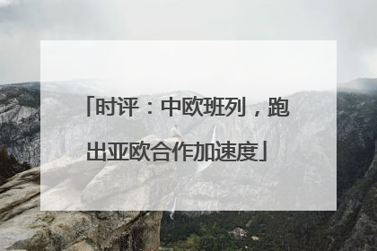 时评：中欧班列，跑出亚欧合作加速度