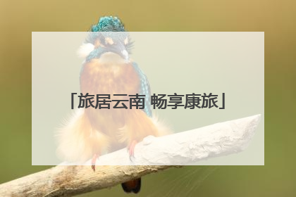 旅居云南 畅享康旅