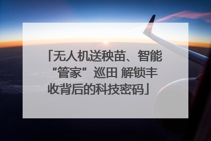 无人机送秧苗、智能“管家”巡田 解锁丰收背后的科技密码