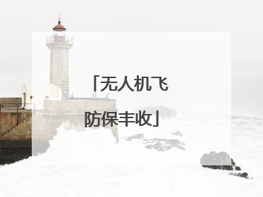 无人机飞防保丰收