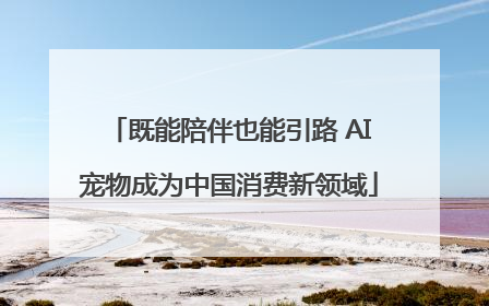 既能陪伴也能引路 AI宠物成为中国消费新领域