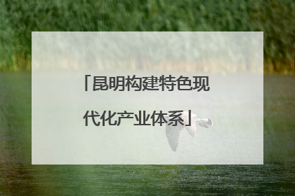 昆明构建特色现代化产业体系