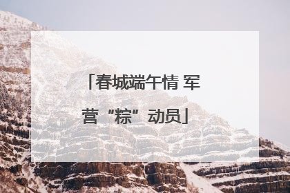 春城端午情 军营“粽”动员