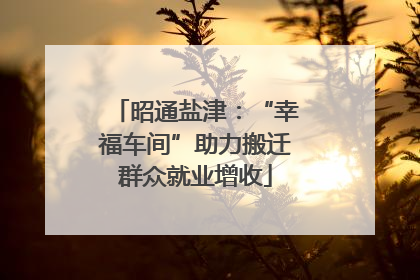 昭通盐津：“幸福车间”助力搬迁群众就业增收