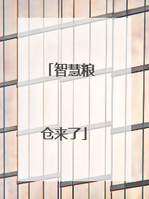 智慧粮仓来了