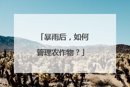 暴雨后，如何管理农作物？