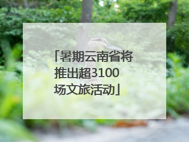 暑期云南省将推出超3100场文旅活动