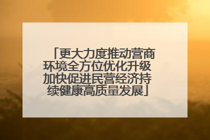 更大力度推动营商环境全方位优化升级加快促进民营经济持续健康高质量发展
