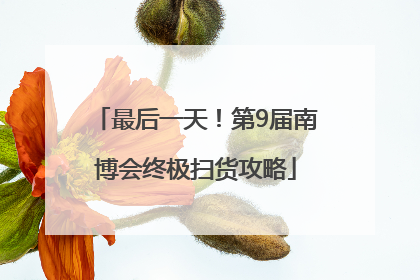 最后一天！第9届南博会终极扫货攻略