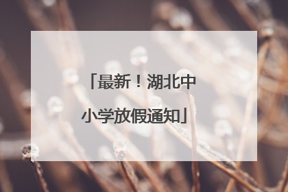 最新！湖北中小学放假通知