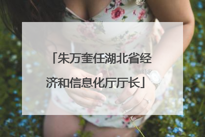 朱万奎任湖北省经济和信息化厅厅长