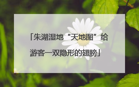 朱湖湿地“天地图”给游客一双隐形的翅膀