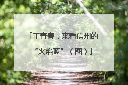 正青春，来看信州的“火焰蓝”（图）