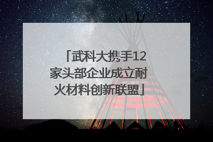 武科大携手12家头部企业成立耐火材料创新联盟