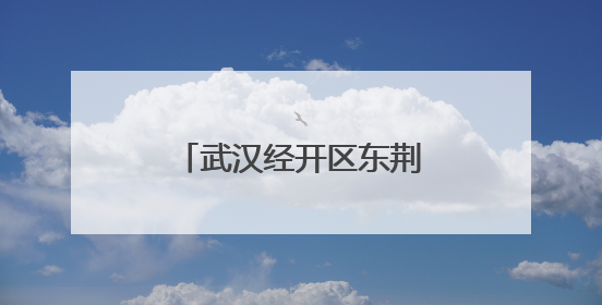 武汉经开区东荆街道开展关爱困境和留守儿童活动