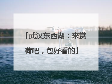 武汉东西湖：来赏荷吧，包好看的