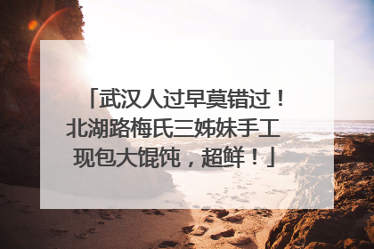 武汉人过早莫错过！北湖路梅氏三姊妹手工现包大馄饨，超鲜！