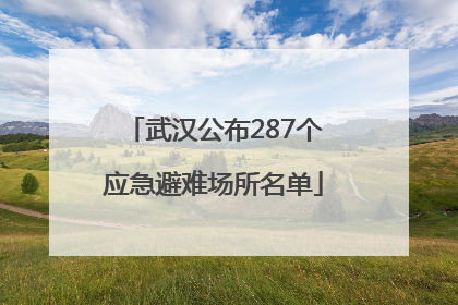 武汉公布287个应急避难场所名单