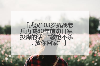 武汉103岁抗战老兵再喊80年前劝日军投降的话 “缴枪不杀，放你回家”