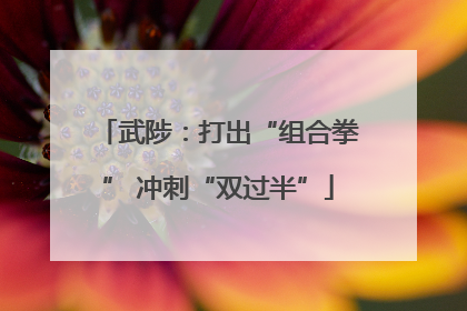 武陟：打出“组合拳” 冲刺“双过半”