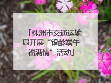 株洲市交通运输局开展“银龄端午福满情”活动