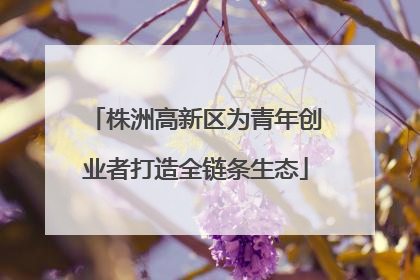 株洲高新区为青年创业者打造全链条生态