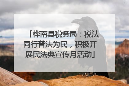 桦南县税务局：税法同行普法为民，积极开展民法典宣传月活动