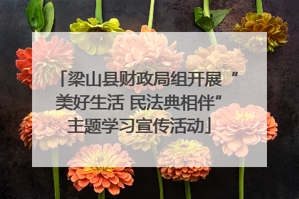 梁山县财政局组开展“美好生活 民法典相伴”主题学习宣传活动