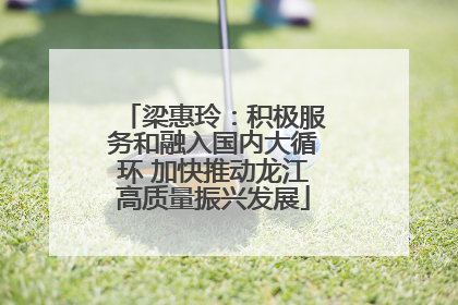 梁惠玲：积极服务和融入国内大循环 加快推动龙江高质量振兴发展