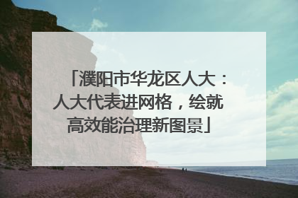 濮阳市华龙区人大：人大代表进网格，绘就高效能治理新图景