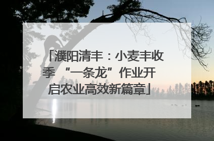 濮阳清丰：小麦丰收季 “一条龙”作业开启农业高效新篇章