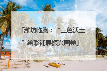 潍坊临朐：“三色沃土”绘彩铺展振兴画卷