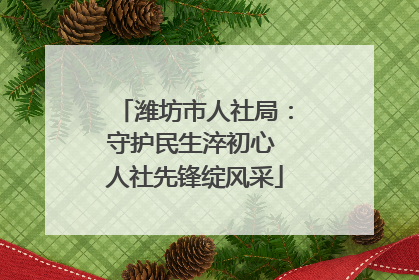 潍坊市人社局：守护民生淬初心 人社先锋绽风采