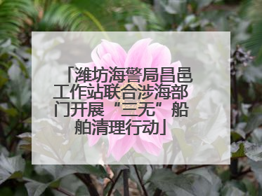 潍坊海警局昌邑工作站联合涉海部门开展“三无”船舶清理行动
